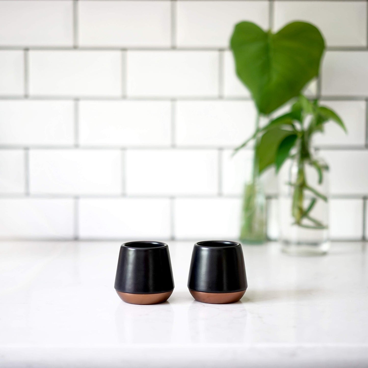 Fellow Junior Demitasse Ceramic Mug 70ml (Set of 2) كوب فيلو
