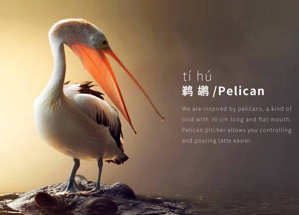 TimeMore Teflon Pelican Pitcher 600ml ابريق تبخير الحليب