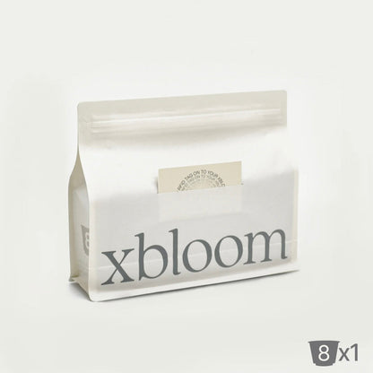 Xpod Earth Roastery - Brazil