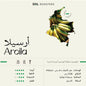 Soil “Premium Edition” Colombia ARCILA, Honey Anaerobic - 250g بن كوينديو