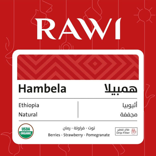 Rawi  Ethiopia HAMBELA - Drip Filter بن هامبيلا