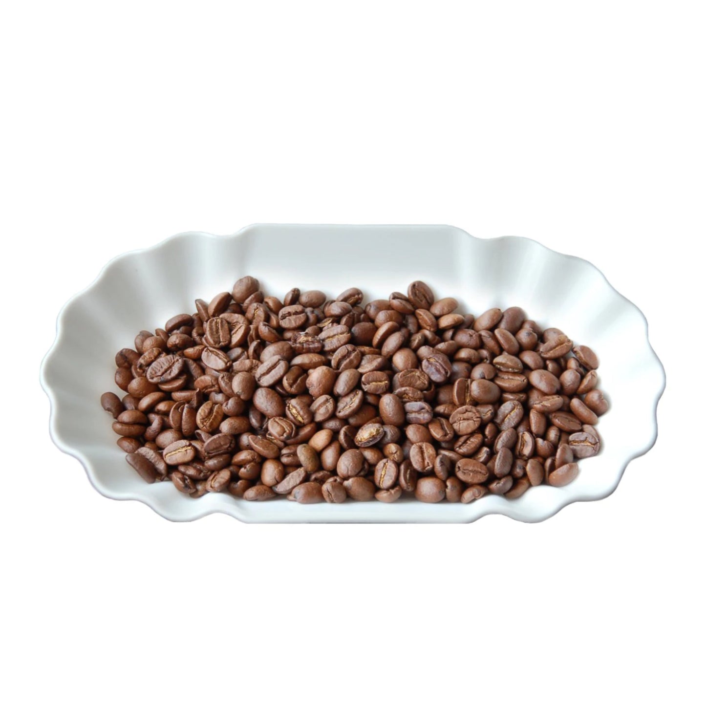 JoeFrex Cupping Sample Tray 12 pcs صينية تذوق القهوة