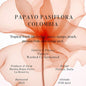 Sumo Colombia Papayo Pasiflora 250g بن بابايو