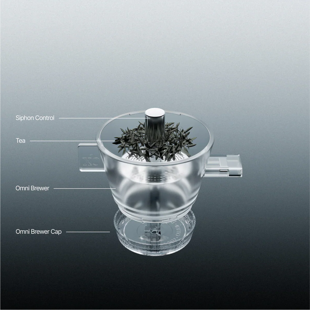 Xbloom Omni Tea Brewer قطعة تحضير الشاي