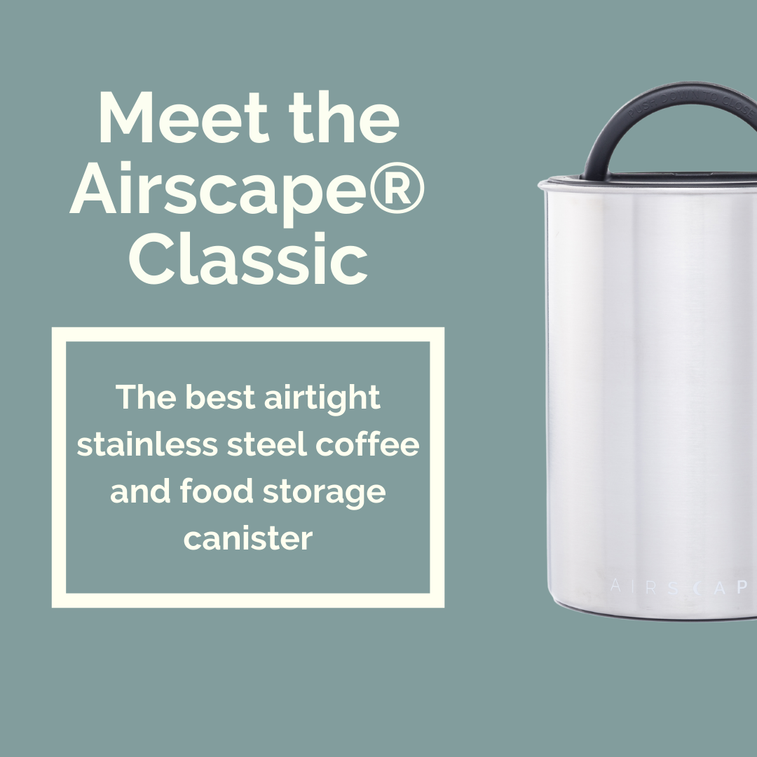 Airscape Coffee Canister - Classic 500g علبة