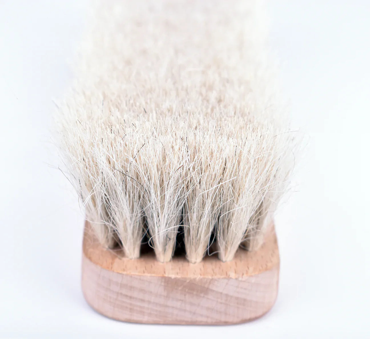 JoeFrex Counter Brush فرشاة تنظيف